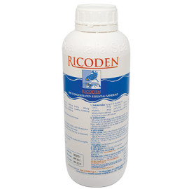 RICODEN